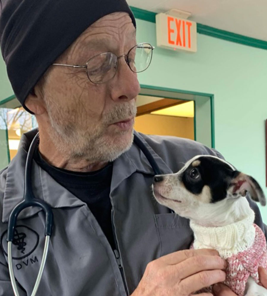 Dentistry Vet in Mount Horeb MT. Horeb Animal Hospital