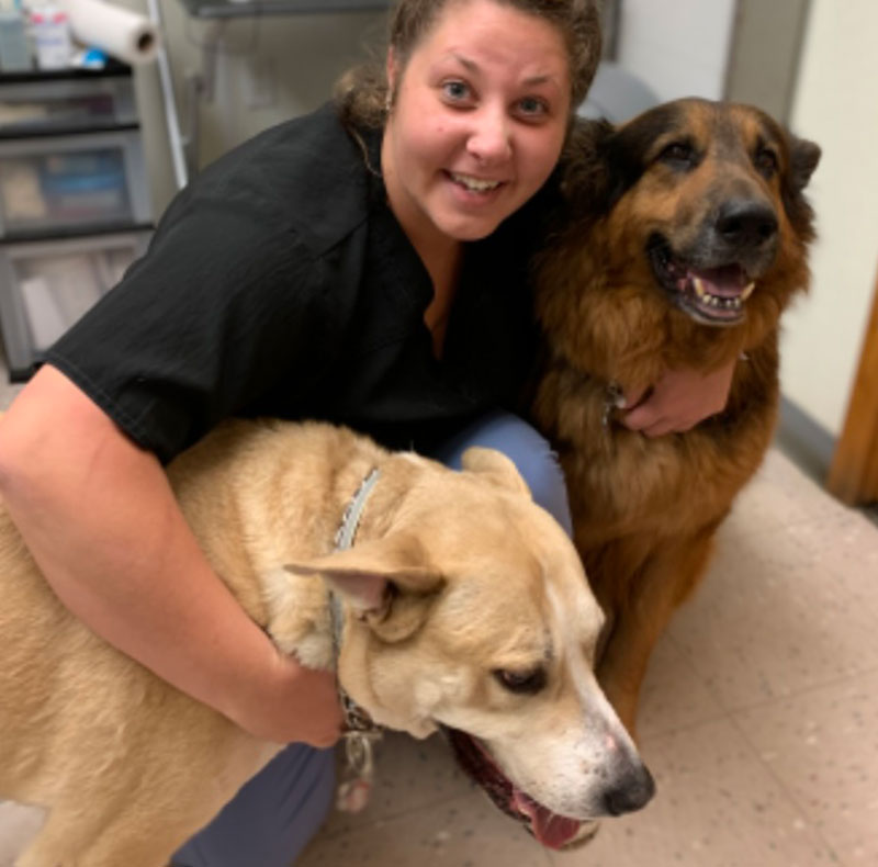 Dentistry Vet in Mount Horeb MT. Horeb Animal Hospital